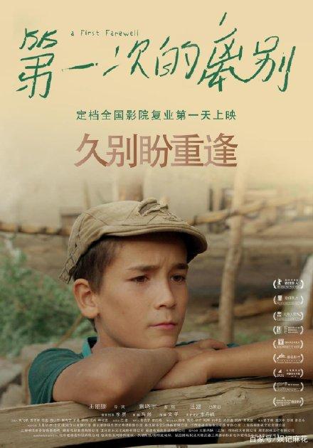 加州驾驶证假的多少钱